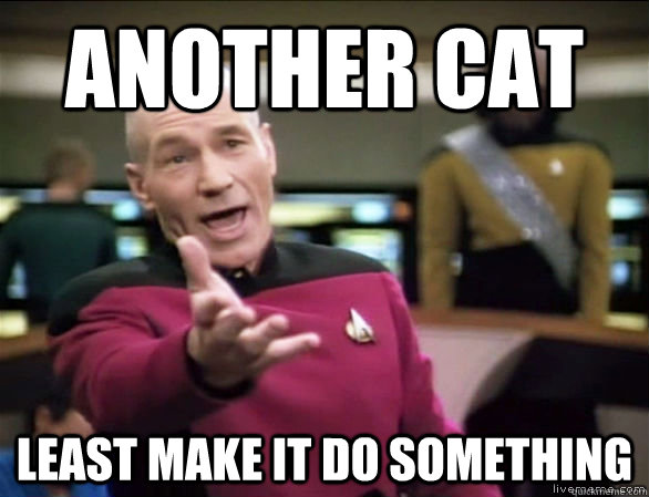 Another cat least make it do something  Annoyed Picard HD