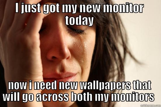 I JUST GOT MY NEW MONITOR TODAY NOW I NEED NEW WALLPAPERS THAT WILL GO ACROSS BOTH MY MONITORS  First World Problems