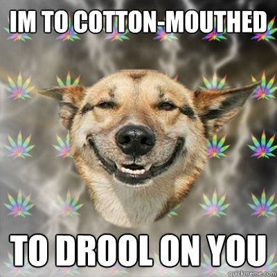 Im to cotton-mouthed To drool on you  Stoner Dog