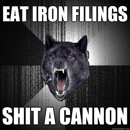 EAT IRON FILINGS SHIT A CANNON  Insanity Wolf