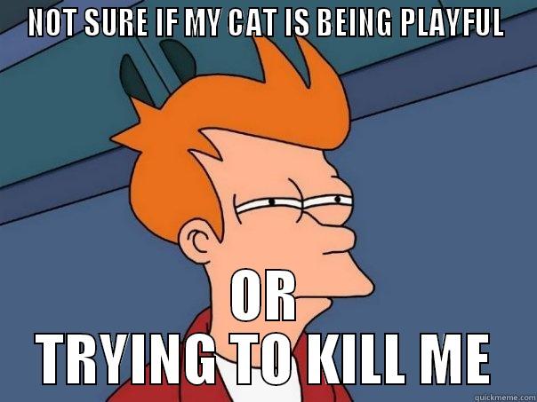 NOT SURE IF MY CAT IS BEING PLAYFUL OR TRYING TO KILL ME Futurama Fry
