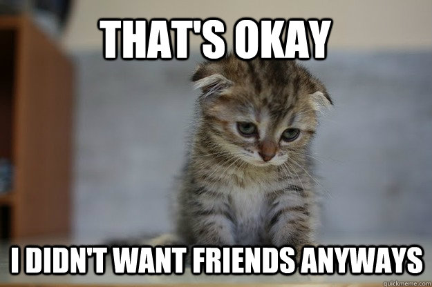 That's okay I didn't want friends anyways  Sad Kitten