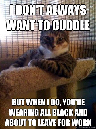 I don't always want to cuddle but when I do, you're wearing all black and about to leave for work  The Most Interesting Cat in the World