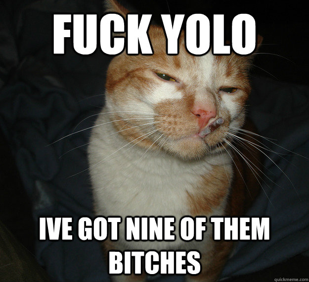 Fuck YOLO Ive got nine of them bitches  Cool Cat Craig