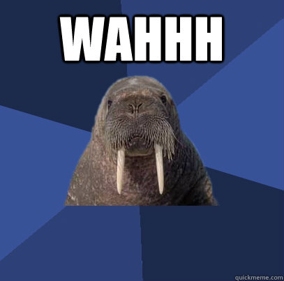 WAHHH   Web Developer Walrus