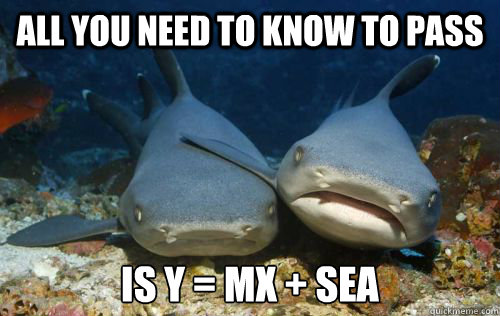 All you need to know to pass is Y = mx + sea  Compassionate Shark Friend