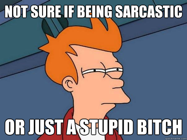 Not sure if being sarcastic or just a stupid bitch  Futurama Fry