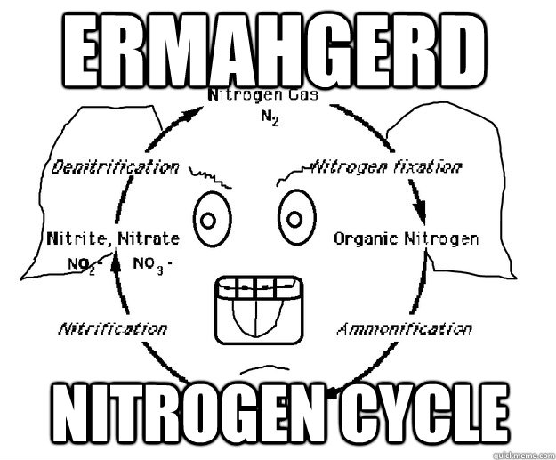 Ermahgerd Nitrogen Cycle ermahgerd nitrogen quickmeme