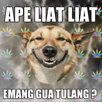 APE LIAT LIAT EMANG GUA TULANG ?  Stoner Dog