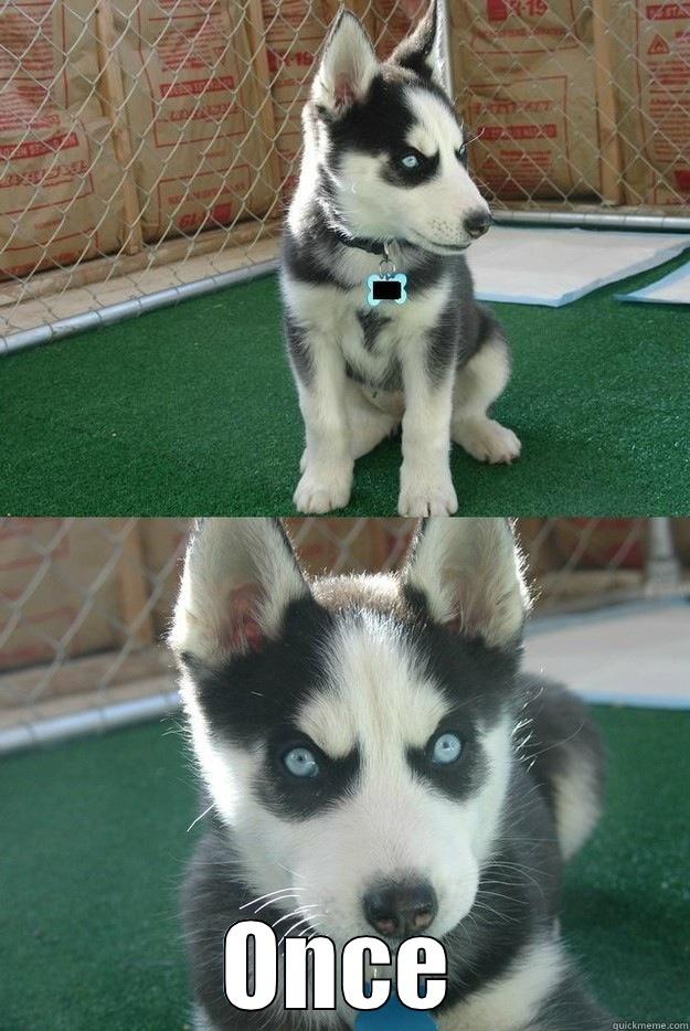  ONCE Insanity puppy