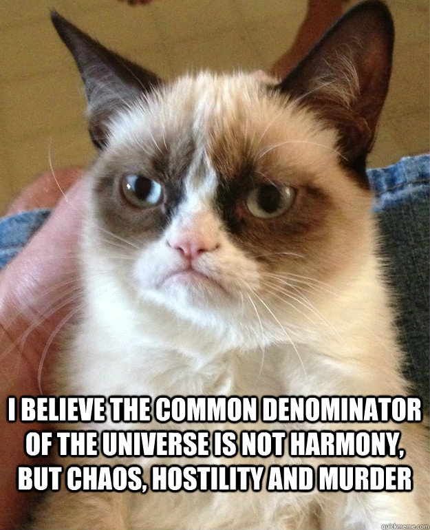  I believe the common denominator of the Universe is not harmony, but chaos, hostility and murder  Grumpy Cat