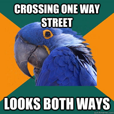 Crossing one way street looks both ways  Paranoid Parrot
