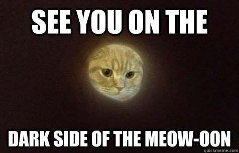 See you on the  dark side of the meow-oon  Moon Cat