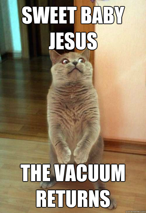 SWEET BABY JESUS THE VACUUM RETURNS - SWEET BABY JESUS THE VACUUM RETURNS  Horrorcat