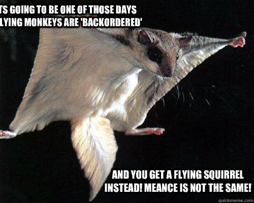 YOU KNOW ITS GOING TO BE ONE OF THOSE DAYS WHEN YOUR  FLYING MONKEYS ARE 'BACKORDERED' AND YOU GET A FLYING SQUIRREL INSTEAD! MEANCE IS NOT THE SAME!  