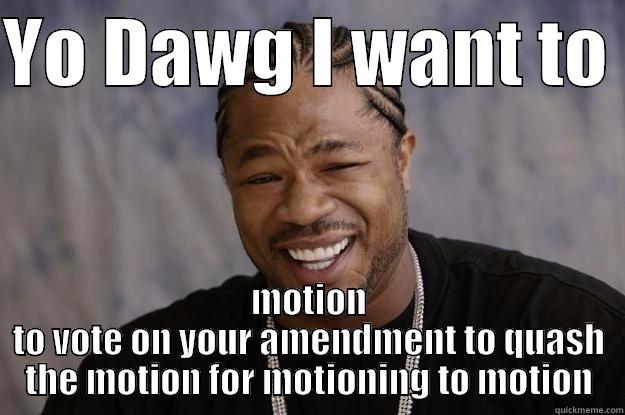 Motion those motions - YO DAWG I WANT TO  MOTION TO VOTE ON YOUR AMENDMENT TO QUASH THE MOTION FOR MOTIONING TO MOTION Xzibit meme
