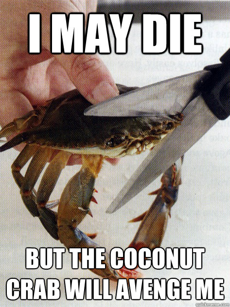 I may die but the coconut crab will avenge me  Optimistic Crab