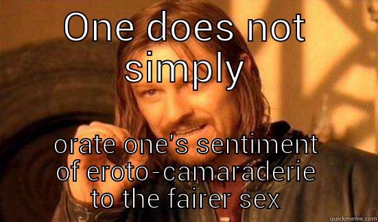 ONE DOES NOT SIMPLY ORATE ONE'S SENTIMENT OF EROTO-CAMARADERIE TO THE FAIRER SEX Boromir