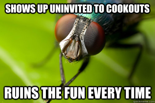 shows up uninvited to cookouts ruins the fun every time - shows up uninvited to cookouts ruins the fun every time  Stupid Annoying Fly