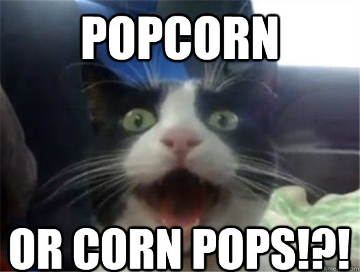 POPCORN OR CORN POPS!?!  Amazed Cat