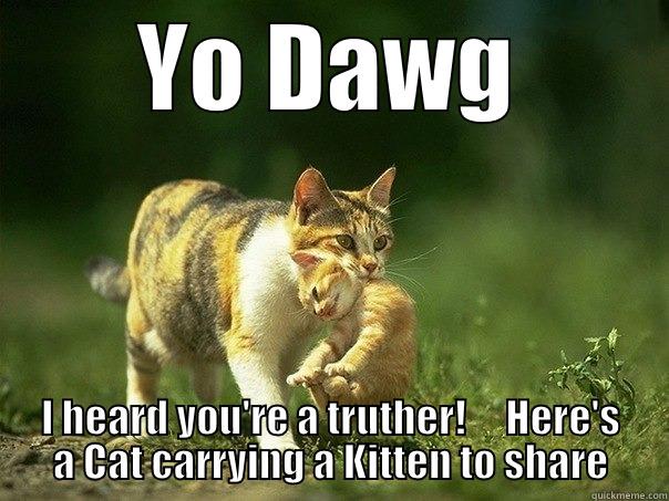 Cat Kitten - YO DAWG I HEARD YOU'RE A TRUTHER!     HERE'S A CAT CARRYING A KITTEN TO SHARE Misc