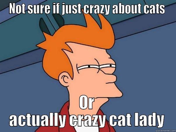 catslolforromy omg c'mon - NOT SURE IF JUST CRAZY ABOUT CATS OR ACTUALLY CRAZY CAT LADY Futurama Fry