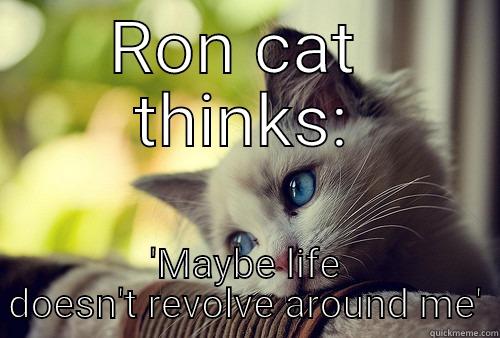 RON CAT  THINKS: 'MAYBE LIFE DOESN'T REVOLVE AROUND ME' First World Problems Cat