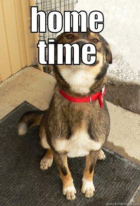 Time to go home - HOME TIME  Good Dog Greg