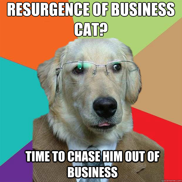 Resurgence of Business cat? 
 time to chase him out of business - Resurgence of Business cat? 
 time to chase him out of business  Business Dog