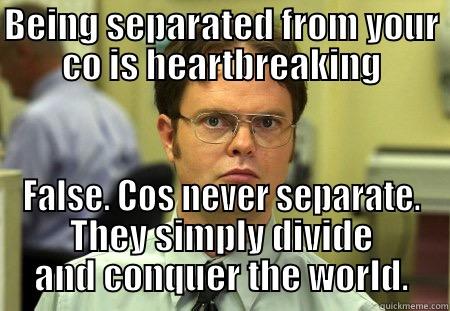 Cos before hoes OR bros - BEING SEPARATED FROM YOUR CO IS HEARTBREAKING FALSE. COS NEVER SEPARATE. THEY SIMPLY DIVIDE AND CONQUER THE WORLD. Dwight