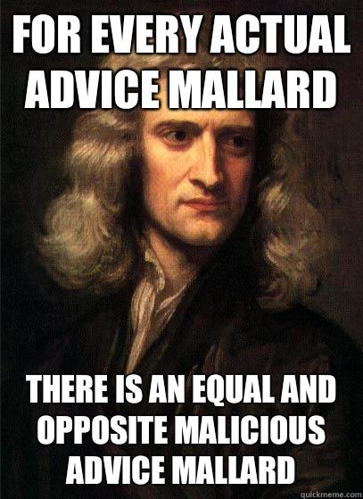 For every actual advice mallard  There is an equal and opposite malicious advice mallard  Sir Isaac Newton