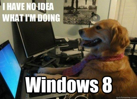 Windows 8 - Windows 8  I have no idea what Im doing dog