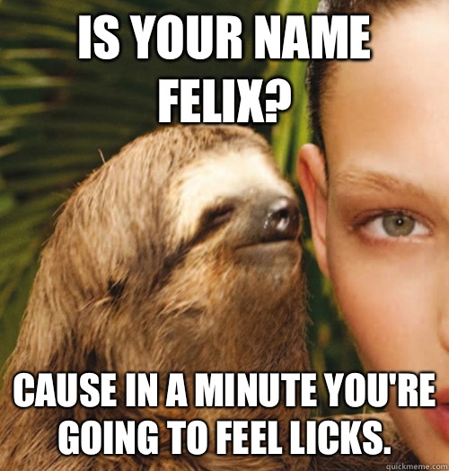 Is your name Felix? Cause in a minute you're going to feel licks.  Whispering Sloth