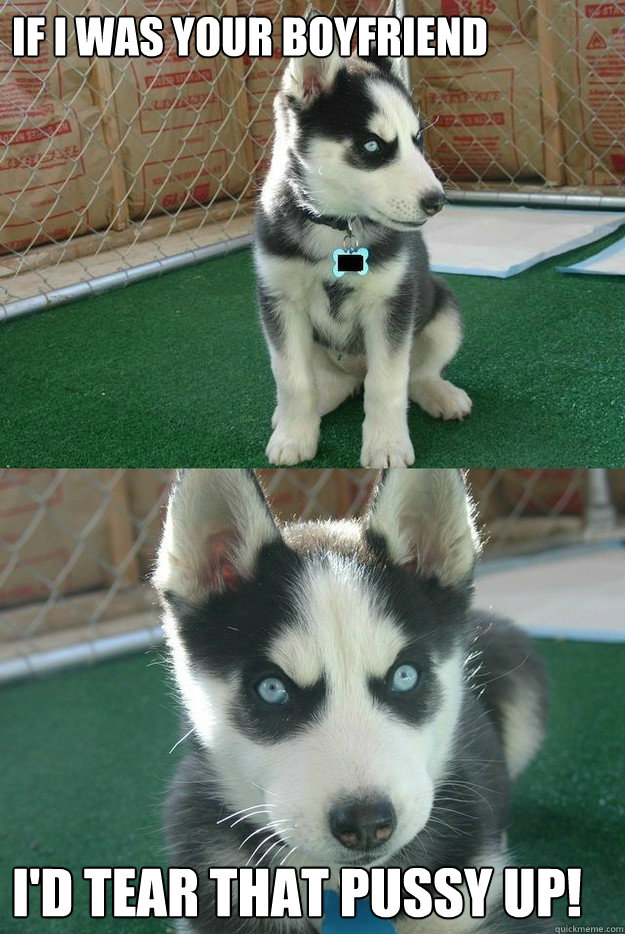 If i was your boyfriend I'd tear that pussy up!  Insanity puppy