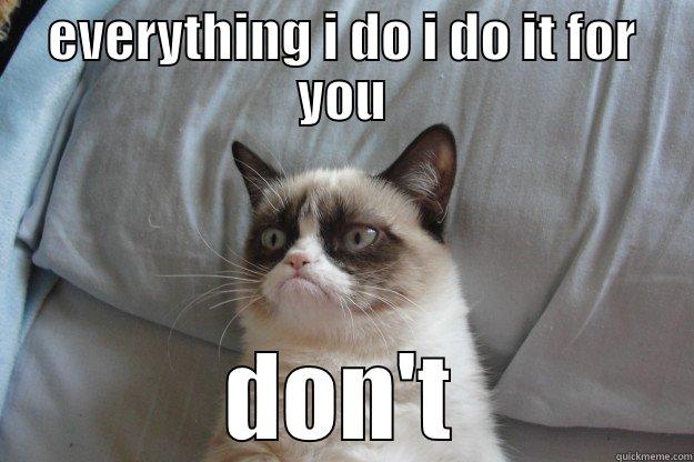 EVERYTHING I DO I DO IT FOR YOU DON'T Grumpy Cat