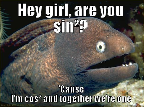 HEY GIRL, ARE YOU SIN²? 'CAUSE I'M COS² AND TOGETHER WE'RE ONE Bad Joke Eel