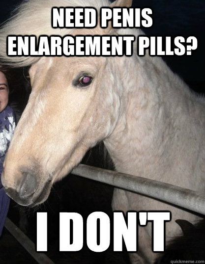 Need penis enlargement pills? I don't - Need penis enlargement pills? I don't  Photogenic Horse