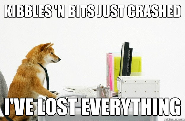 kibbles 'n bits just crashed i've lost everything  Daytrader Dog