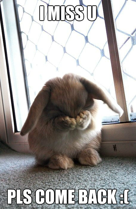 I miss U pls come back :( - I miss U pls come back :(  Sad Bunny