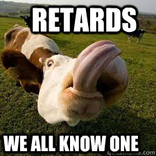 Retards we all know one - Retards we all know one  The Dumbass cow