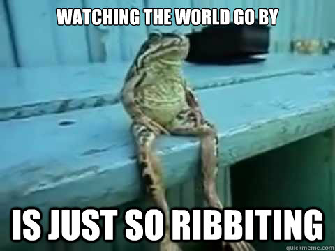 Watching the World go by is just so ribbiting - Watching the World go by is just so ribbiting  SITTING FROG