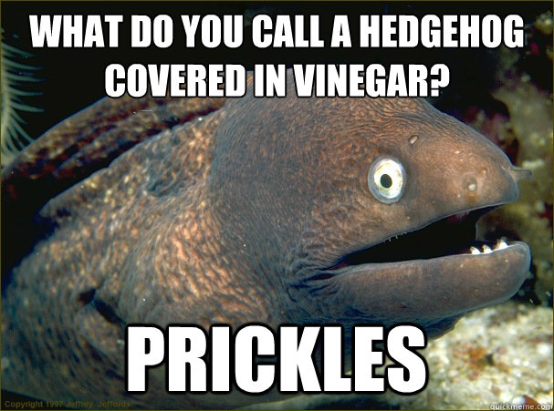 What do you call a hedgehog covered in vinegar? 
 Prickles - What do you call a hedgehog covered in vinegar? 
 Prickles  Bad Joke Eel