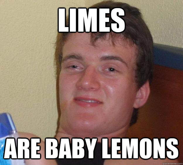 Limes  Are baby lemons   10 Guy