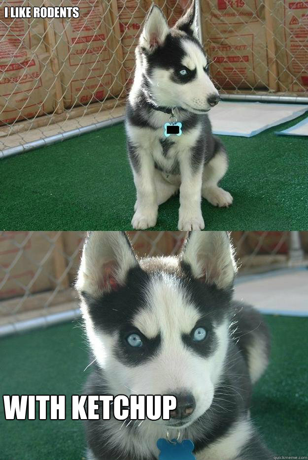 I Like rodents WITH KETCHUP  Insanity puppy