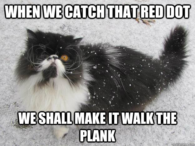 When we catch that red dot  we shall make it walk the plank - When we catch that red dot  we shall make it walk the plank  pirate cat