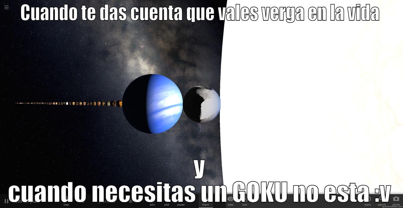 CUANDO TE DAS CUENTA QUE VALES VERGA EN LA VIDA Y CUANDO NECESITAS UN GOKU NO ESTA :V Misc