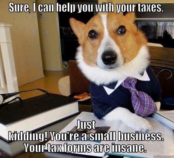 SURE, I CAN HELP YOU WITH YOUR TAXES. JUST KIDDING! YOU'RE A SMALL BUSINESS. YOUR TAX FORMS ARE INSANE.  Lawyer Dog