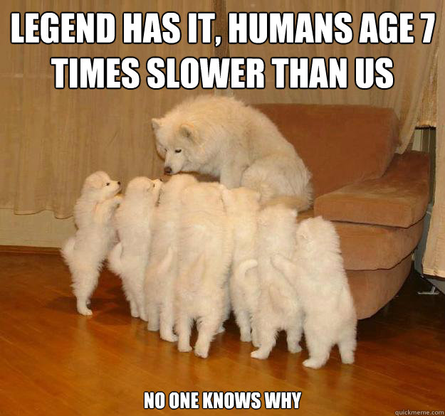 Legend has it, humans age 7 times slower than us No one knows why - Legend has it, humans age 7 times slower than us No one knows why  Misc