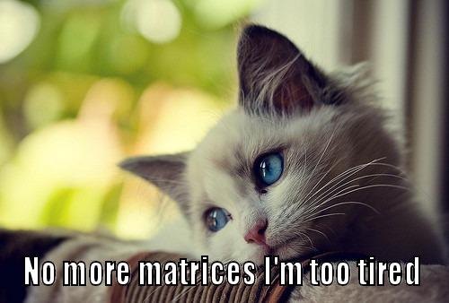  NO MORE MATRICES I'M TOO TIRED First World Problems Cat