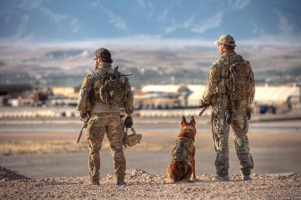 “I KNOW WHAT I'M CAPABLE OF; I AM A SOLDIER NOW, A WARRIOR. I AM SOMEONE TO FEAR, NOT HUNT.” ― PITTACUS LORE, THE RISE OF NINE  Misc